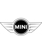 Mini Motori